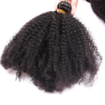 O cabelo encaracolado perverso do Afro humano peruano empacota a cor natural nenhum cheiro químico