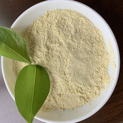 Magnésio Chelated ácido aminado dos micronutrientes do adubo orgânico