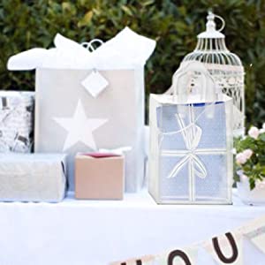 Retail Shopping Bags For Goodie Bags, Party, Stores, Boutique, Clothes, Reusable Plastic Bags With Soft Loop Handle