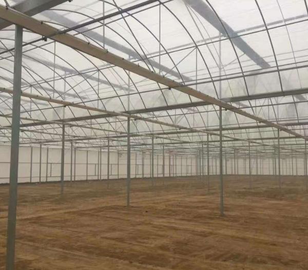 Seedling Cultivation Juxiang Hydroponic Farm Film Greenhouse with Customized Request