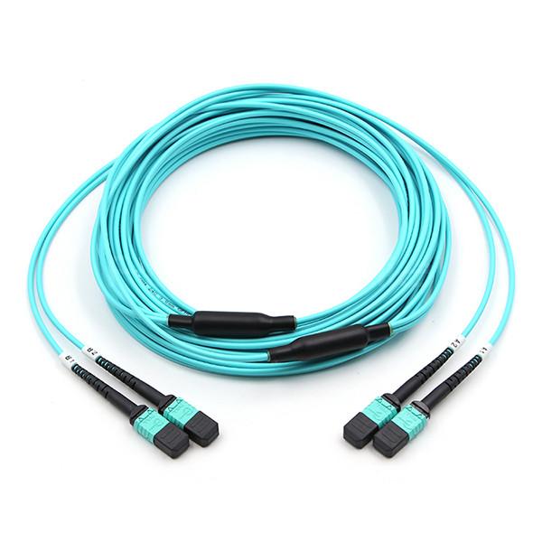 FiberMania Femme à femme 2 x MPO câble de tronc 24 fibres OM3 OFNR Aqua Jack