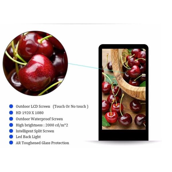 Full HD 55