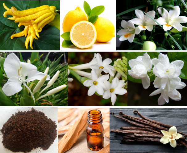 Popular Scented Candles Ginger Flower Fragrance Essence  Fruity Scent Type