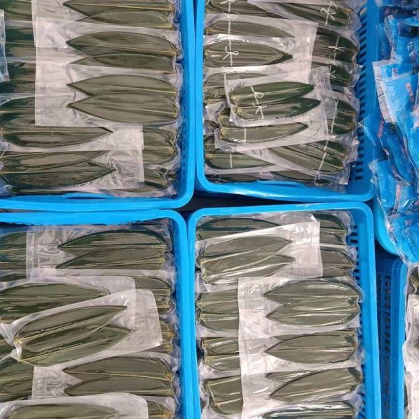 Wholesale Big Size Natural Fresh Green Color Bamboo Leaf Leaves Bamboo Raw Materials for Dragon Boat Zongzi