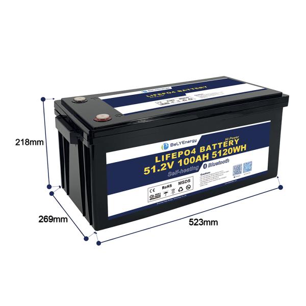 48V LiFePO4 Battery Pack - 5120Wh, 100A Discharge, IP65 Enclosure