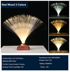 Remote Control Colorful Christmas Xmas Party Decor Luminous Flower Lamp Gradients Led Optic Fiber Star Light