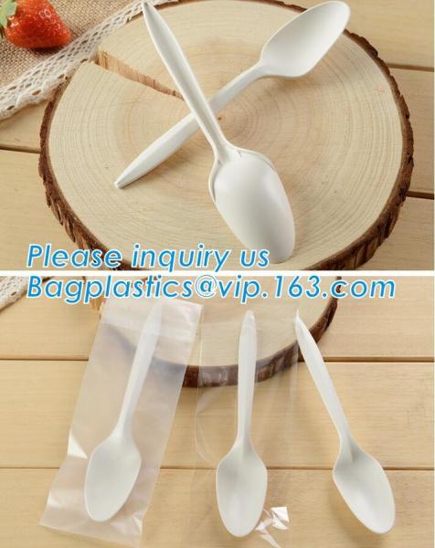 Biodegradable disposable cutlery eco friendly plastic CPLA cutlery,Disposable Biodegradable Corn Starch Cutlery/Spoon