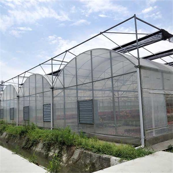 Estufa do período do túnel negativo do controle 60m do clima do sistema de refrigeração do fã multi