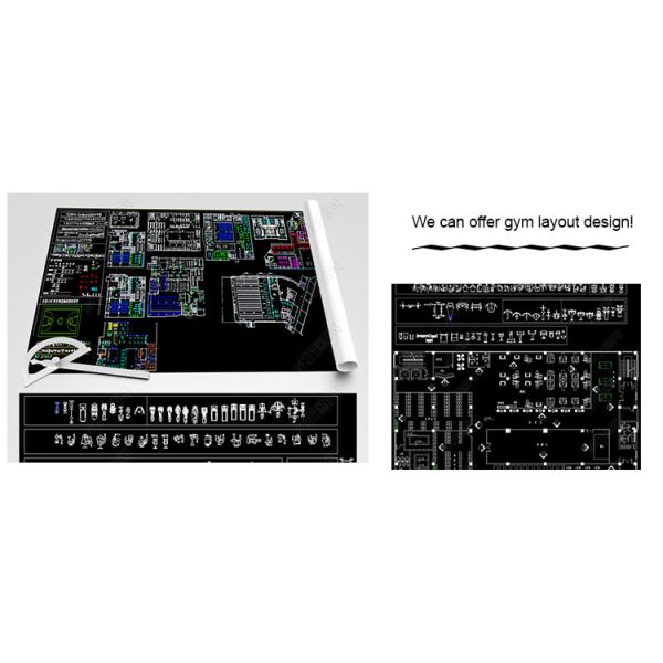 Sliver Frame Life Fitness Strength Equipment , Gym Bodybuilding Tricep Press Machine