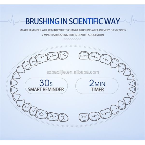 Oral Hygiene Portable Adult Electric Toothbrush 5 Hrs Charge Lasts 30 Days
