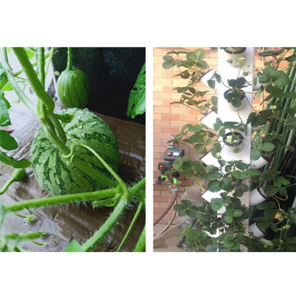 Perfect Vertical Column Hydroponic Aeroponic Planting System Aeroponic Growtower