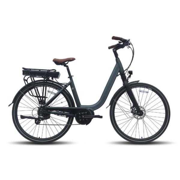 12 Portable Electric Bike Fat Tire For 350 Lb 400 Lb Person 200w E Bike