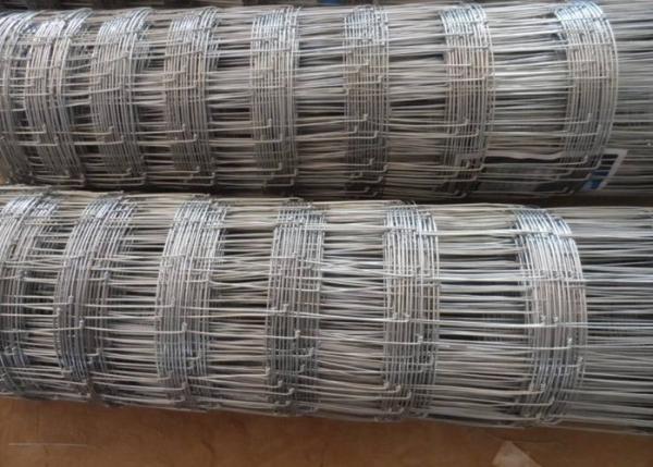 Galvanized Cattle Wire Fence Hinge Joint For Livestock , 0.8-2m Width