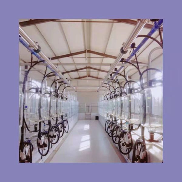 достаточная нержавеющая сталь материалов 70Ltr доит ведро ведер оливкового масла контейнера