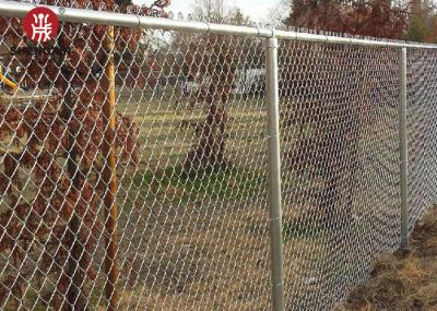 2M Hot Dipped Galvanized Vinyl Coated Chain Link Fence 60x60mm