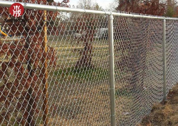 2M Hot Dipped Galvanized Vinyl Coated Chain Link Fence 60x60mm