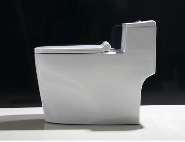 Back to Wall Rimless Toilet Dual Flush Ceramic White