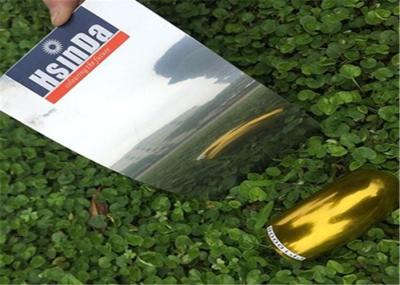 Pó do efeito de Chrome da resistência de óleo que não reveste nenhum chapeamento de prata de imitação dos solventes