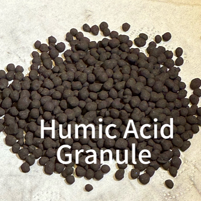 Organic Humic Acid Granules with 70% Humic Acid Content for Soil Conditioning and High CEC 400-450meg/100g