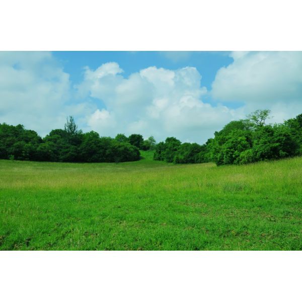 3m X 5.6m Round top Metal Chicken Run Walk In Coop For Poultry Hen Cage Pen Walk in Chicken Cage