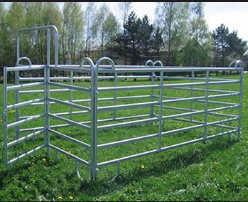 Powder Coated Galvanized Cattle Corral Panels Good Oxidation Resistance 