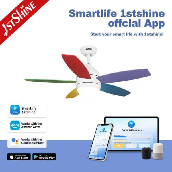 Remote Control Ceiling Fan with Noiseless Operation and Lighting Solutions Service