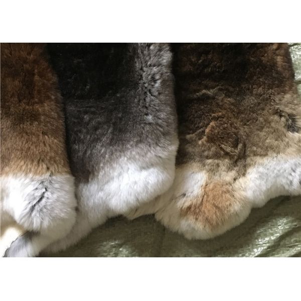 Piel bronceada amistosa del conejo de Eco Rex 1.5-3 longitudes de la piel del cm para la materia textil/las almohadas caseras