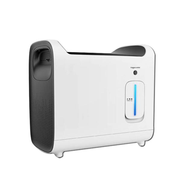 Portable Concentr De Oxigeno Oxygen Concentrator 15 Lpm With Mask