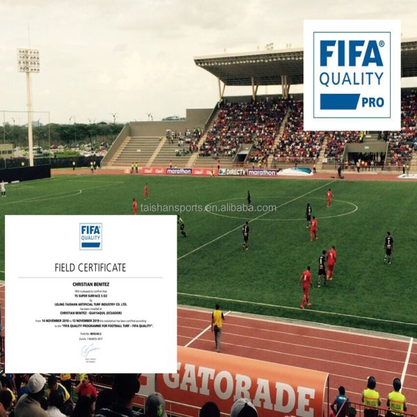 Green Football Artificial Turf with 5/8 Gauge PP+LENO Backing and SBR Latex Coating
