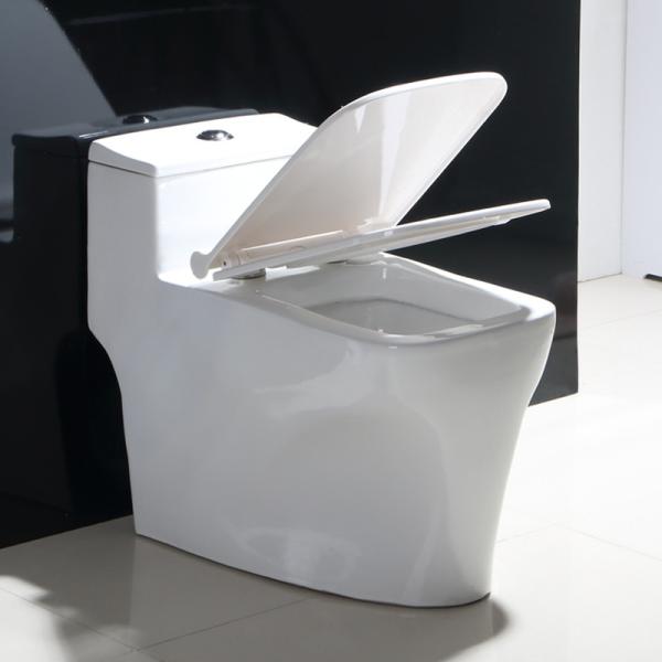 Back to Wall Rimless Toilet Dual Flush Ceramic White