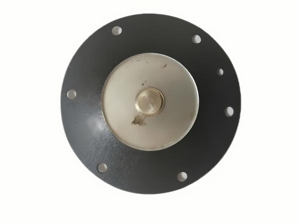 Seal Type NBR Solenoid Valve Diaphragm for Wide Operating Temperature Range D25 of DMF-Z-25 DMF-ZM-25 DMF-Y-25