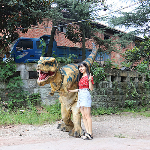 Holiday Attraction Walking Cosplay Dinosaur Costume Simulated