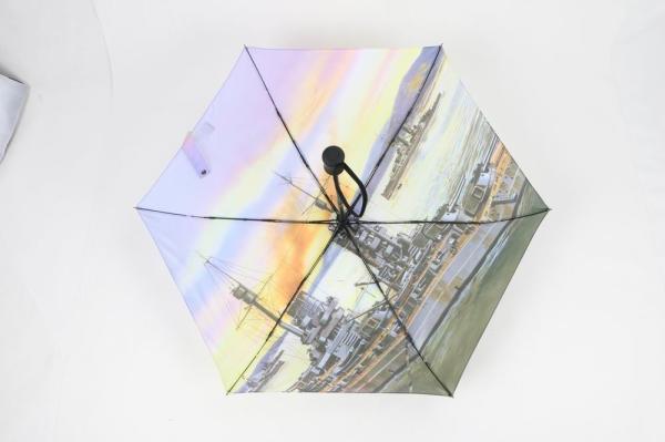 Compact Mini Auto Open Close Umbrella 6 Panels Wind Resistant Black Metal Pole