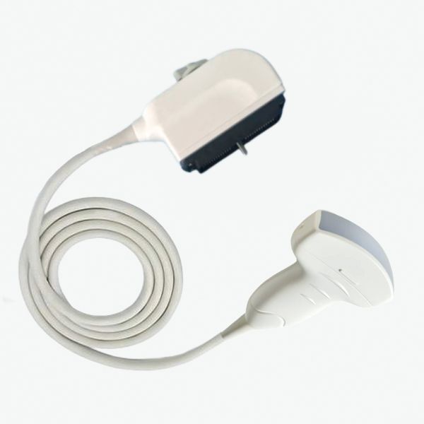 New Product Convex Compatible Ultrasound Probe G20 Siemens C5-2 Transducer Ultrasound Scanner China Replacement And Repair
