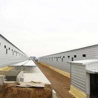 Chambre de poulet multi de bâtiment de structure métallique de construction préfabriquée d'étage