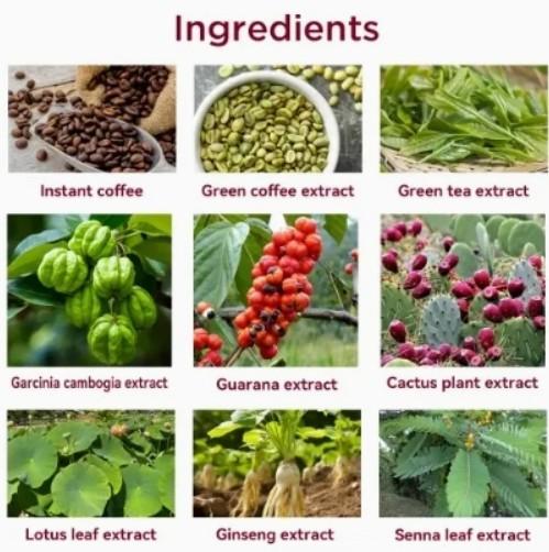 Botanical Extracts Ketone Weight Loss Pills Immune Dietary Detox Slimming Capsules