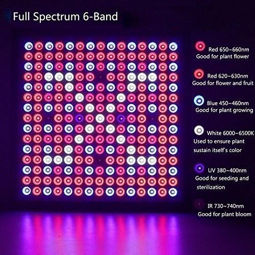 Lightweight Energy Efficient Grow Lights Led Flowering Grow Lights 3 Years Warranty