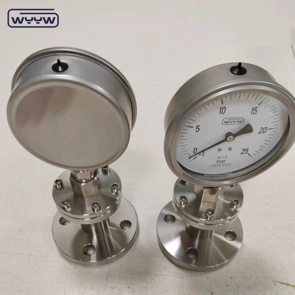 Customized Diaphragm Metering Dosing Pump Oem For BSP G Thread Standard