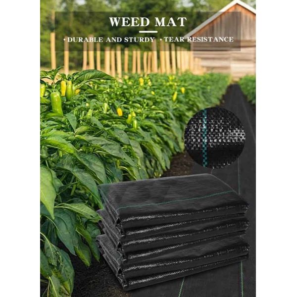 UV Treated Pp Black Weed Mat Ground Cover For Gardening And Landscaping Use