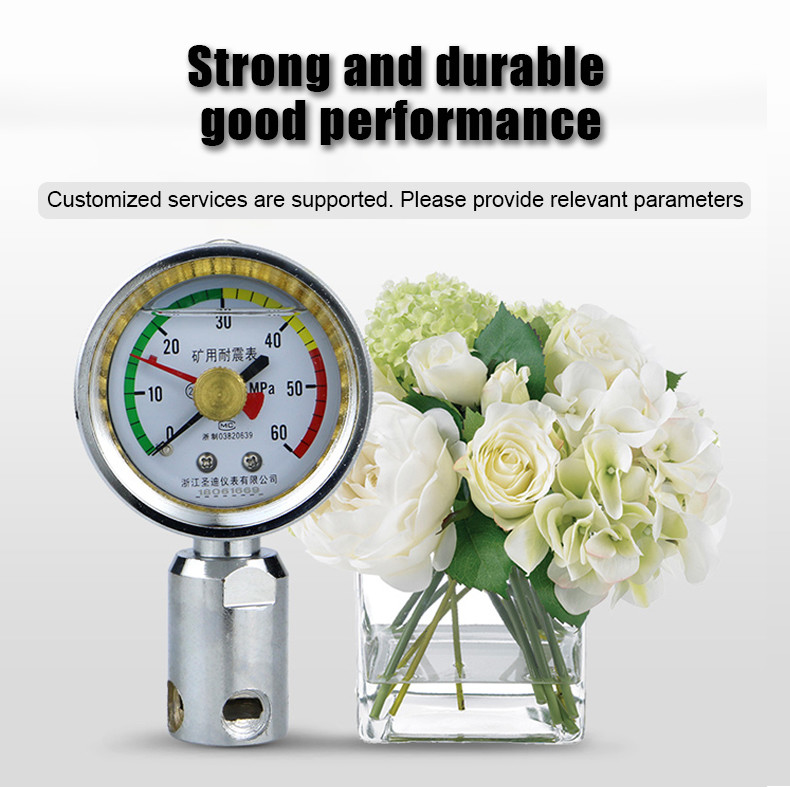 BZY60 60mm Small Memory Double Needle Mine Pressure Gauge Pressure Meter Case Stainless Iron Oil Pressure Gauge