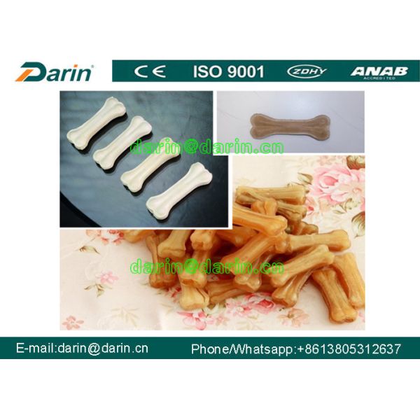 O cão da pele da vaca mastiga o osso de cão que faz a perfuração pressionada máquina dos ossos do couro cru