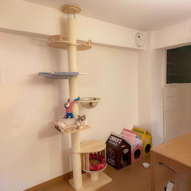 Floor-to-Ceiling Modern Luxury Sisal Wood Adjustable Durable Cat Climbing Frame Jumping Platform Cat Tree Condo Furniture Carton