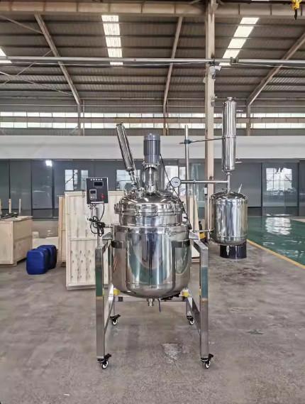 Stainless Steel Double Jacket Reactor Vessel with Condenser