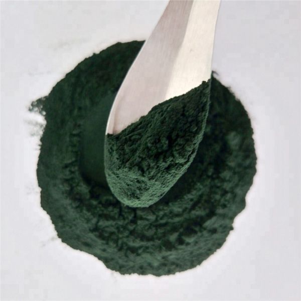 Wholesale Chlorella Powder Organic From China Supplier