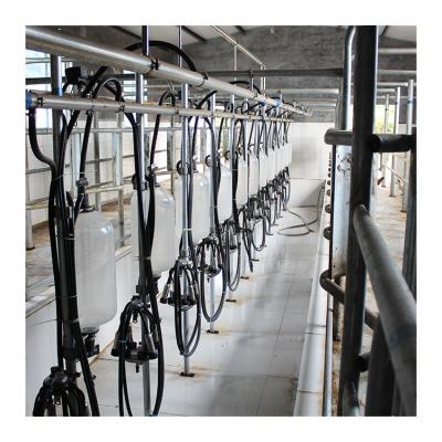 Big 110v 20 Stalls Herringbone Milk Parlor For Cow Milking