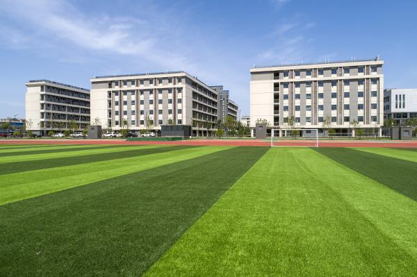 Soccer Artificial Grasses Sports Landscape Indoor Grass For Pets