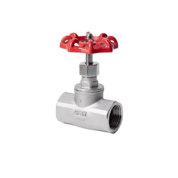 Válvula-globo de linha de aço inoxidável 304/316 Bsp para a indústria química e petroquímica