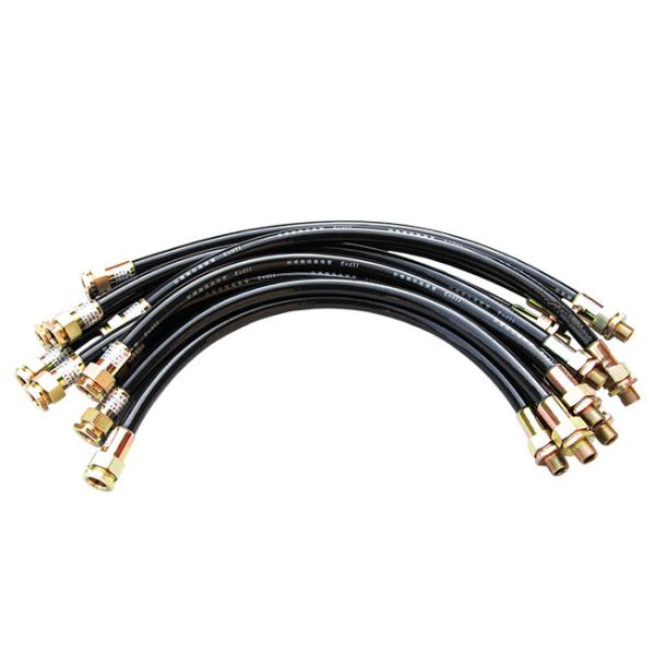 Conducteur flexible en caoutchouc / acier inoxydable de longueur personnalisée avec Ex Db IIC T6 Gb et IP66