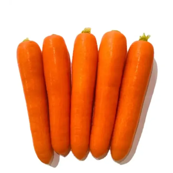 4 KG Natural Carrots Fresh Vegetables Umbelliferous Vegetabless