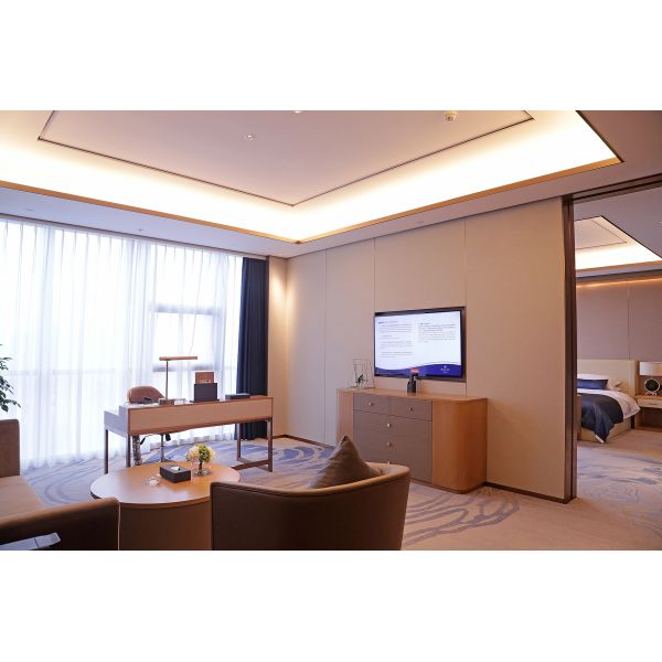 Luxury Hotel Suite мебель комфортабельная гостиная диванный набор